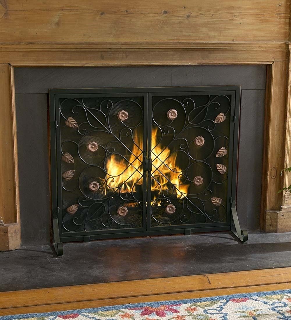 alluring large lafayette two door fire screen * click image for more details fireplace accessories near me photo