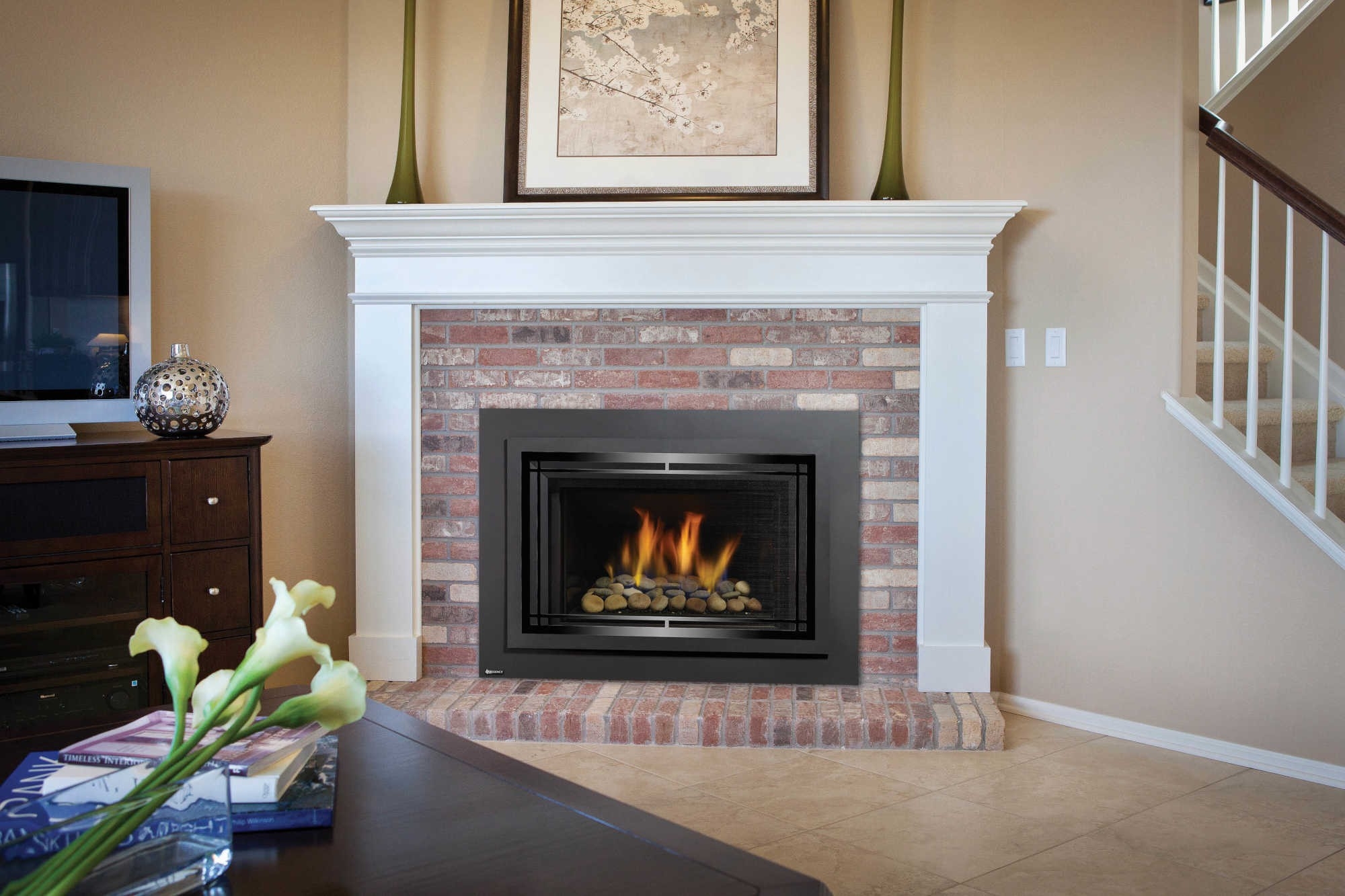 astonishing gas inserts | bellevue fireplace shop propane gas fireplace inserts image