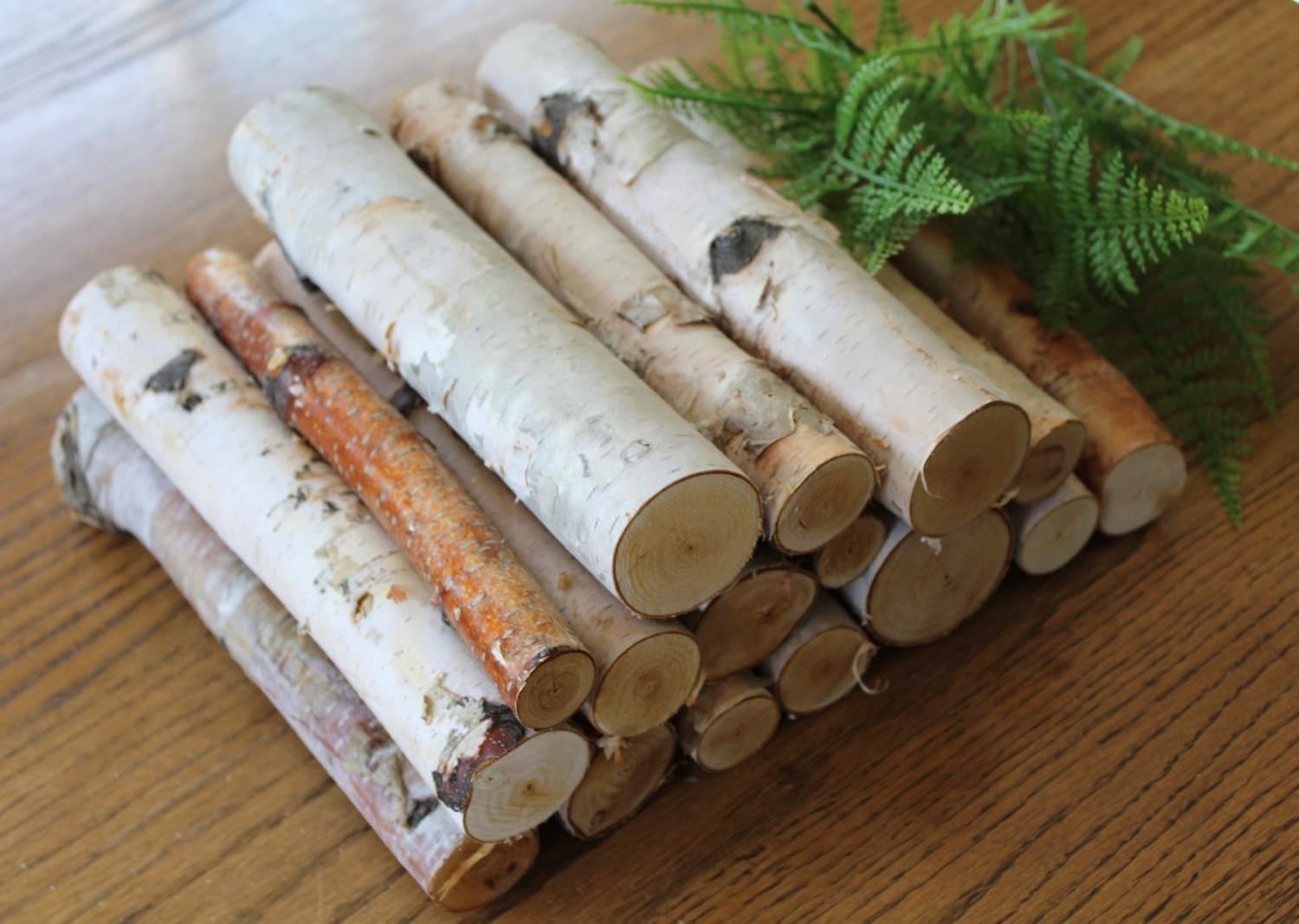Best Ornamental Logs For Fireplace Comparison