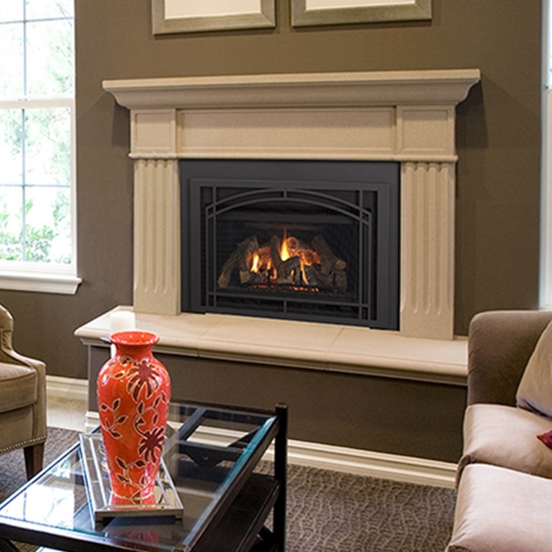 best heatilator fireplace insert wood burning fireplace design ideas heatilator gas fireplace manual photo