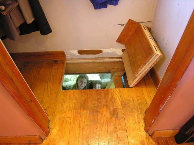 Inspiring Trap Door In Fireplace Brand