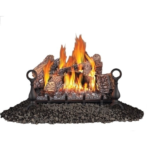 fantastic napoleon products 26 in 60,000 btu single burner vented gas fireplace gas fireplace inserts lowes picture