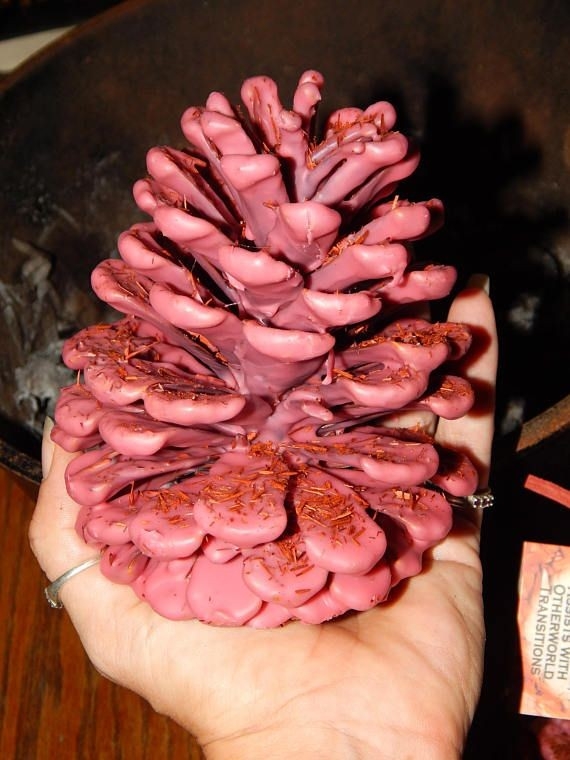 get lowes sandalwood fire starter pine cone large wax &amp; herb coated | etsy | fire can you burn pine in a fireplace pics