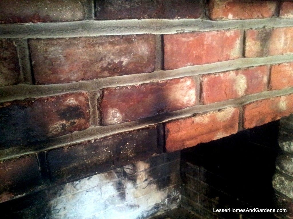 Alluring How To Clean Bricks Around A Fireplace Buy Online