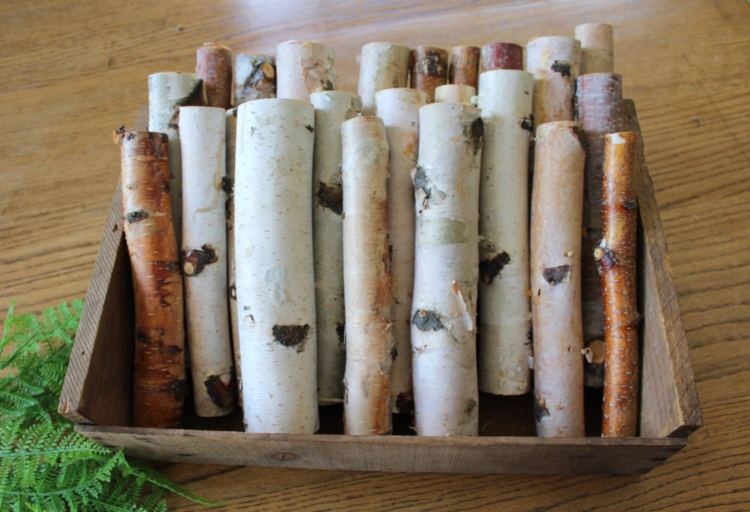 gorgeous 10'' birch logs/ decorative birch logs / box full of ornamental logs for fireplace picture