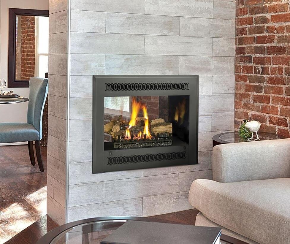 Picture of See Through Gas Fireplace Insert Buy