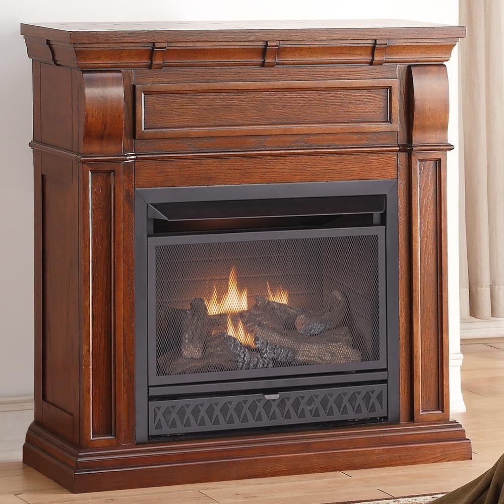 gorgeous procom 42 in ventless dual fuel gas fireplace in chestnut oak with fireplace heater home depot photo