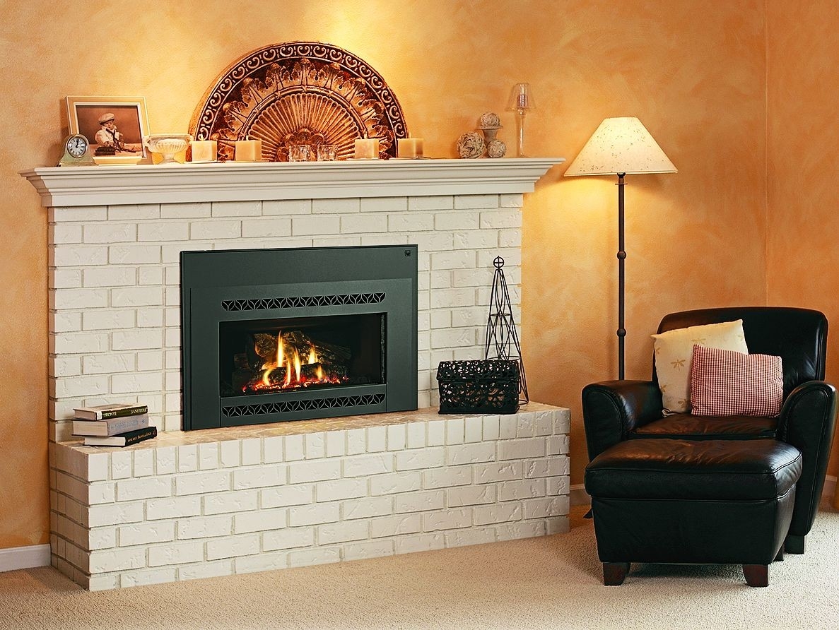 Marvelous Gas Log Fires For Existing Fireplaces Quality