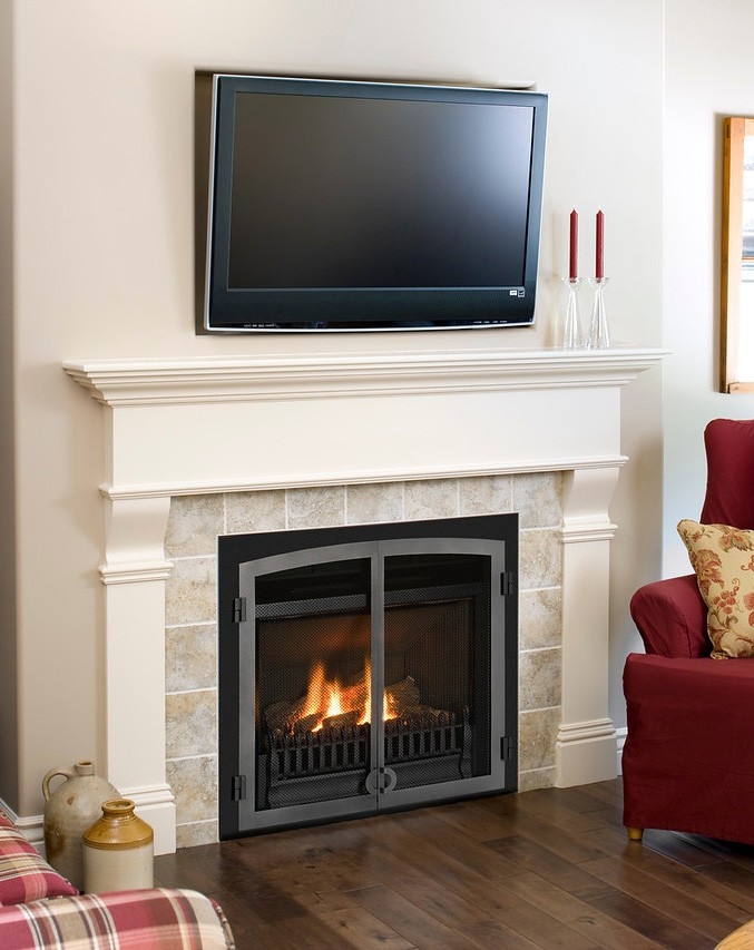 inspiring loveslyf: double sided gas fireplace ashes : gas fireplace inserts double sided gas fireplace insert pics