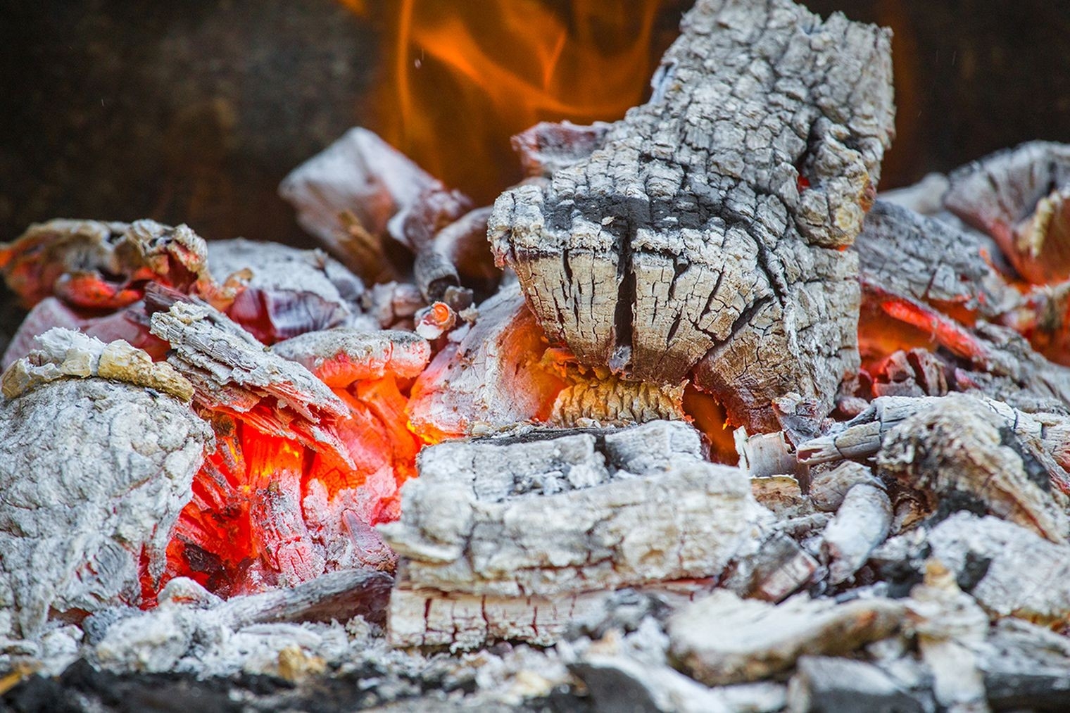 lowes 8 uses for wood ash in your home, garden, and plants this old house how to clean ashes from fireplace image