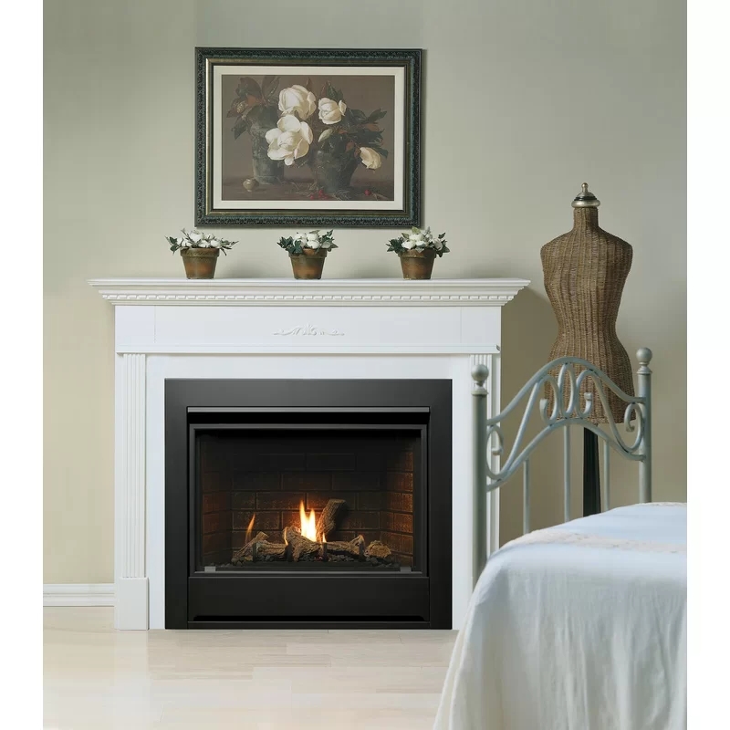 remarkable direct vent natural gas/propane fireplace insert in 2020 | direct vent natural gas fireplace insert with blower pics