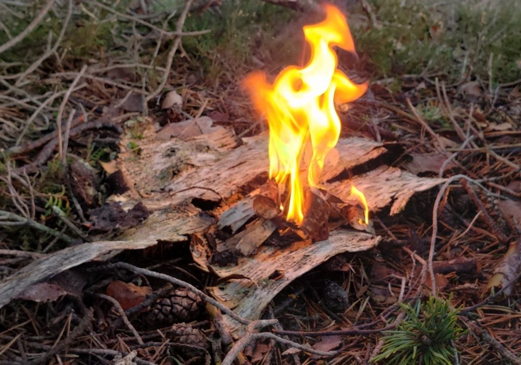 remarkable how to start a fire with birch bark survival saul starting a fire in fireplace picture