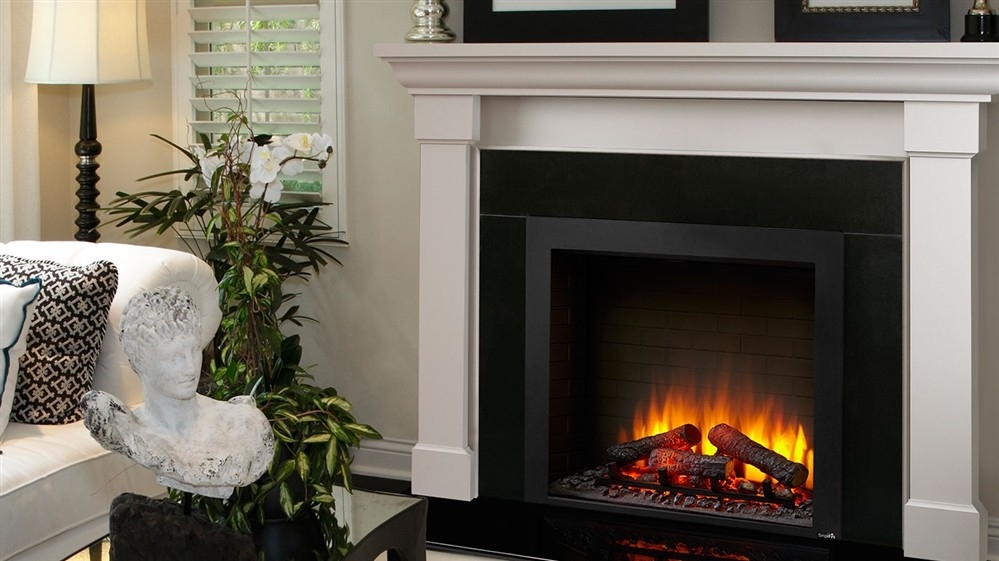 remarkable indoor fireplace inserts electric : strick bolton forde 32 inch wholesale gas fireplace inserts pics