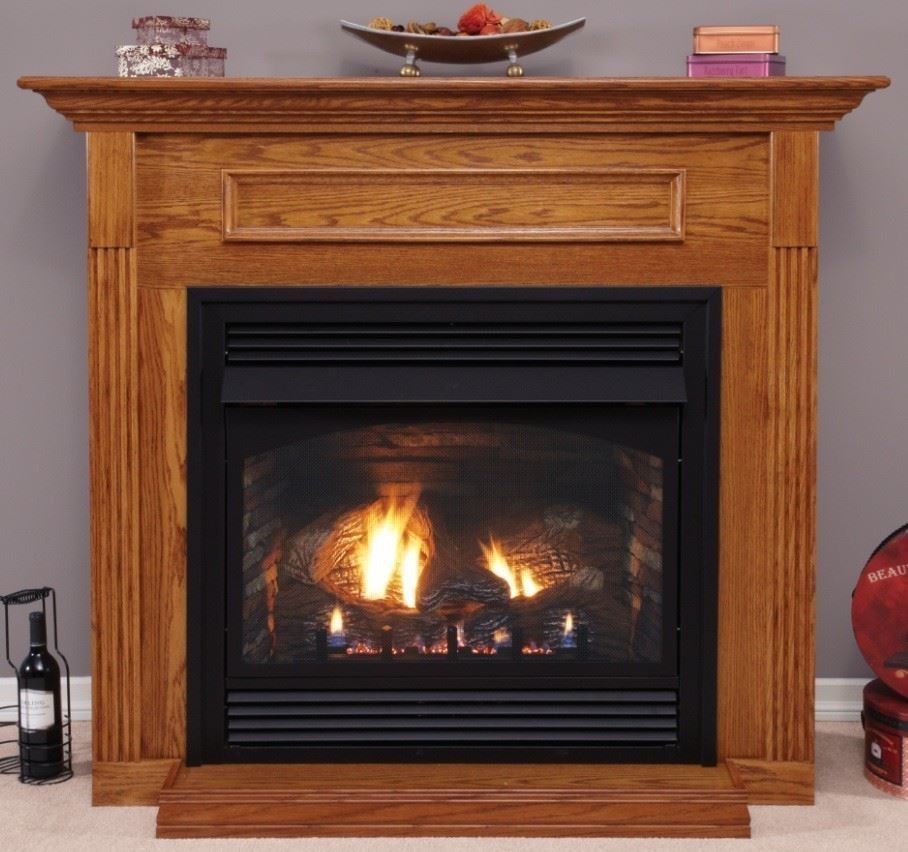 Inspiring Free Standing Propane Fireplaces Comparison