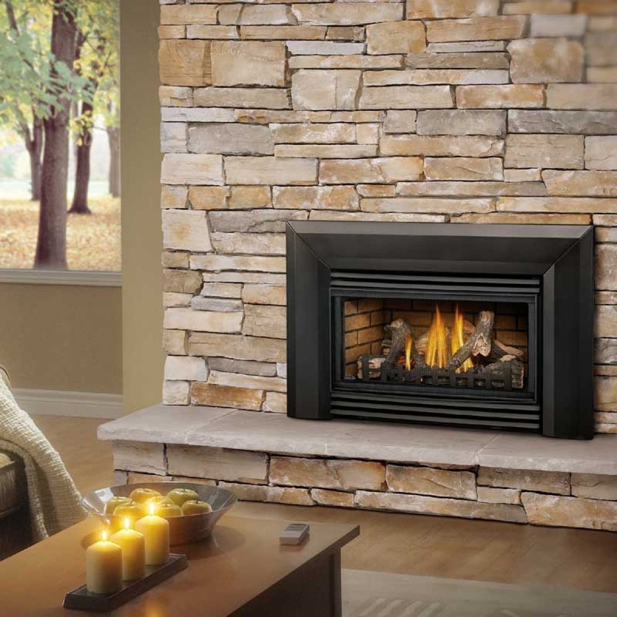 Alluring Propane Gas Fireplace Inserts Top Products