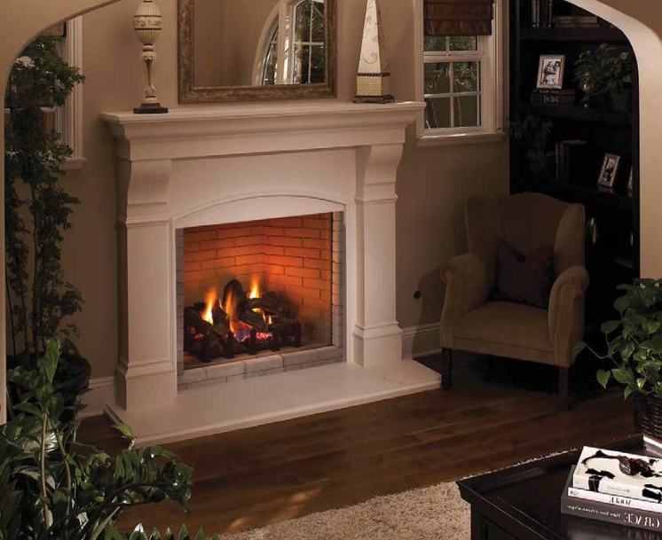 stylish superior drt4000 series direct vent fireplaces replacement doors for fireplace insert pics