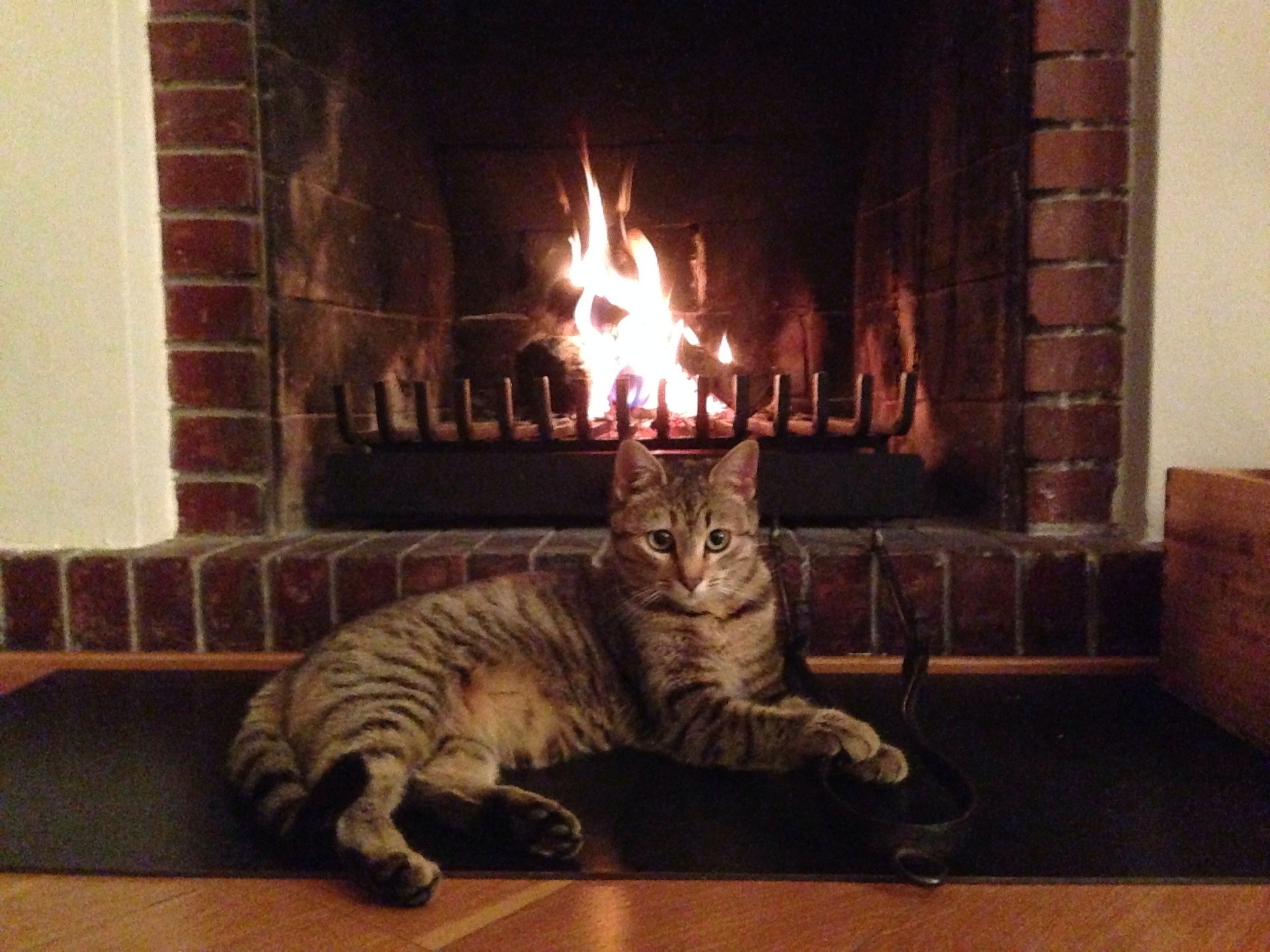top why does your fireplace smoke? | 2nd generation chimneys, inc fireplace smokes into house image