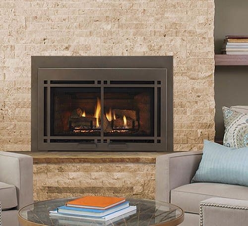 alluring majestic ruby 30" direct vent gas insert | direct vent fireplace direct vent gas fireplace insert reviews picture