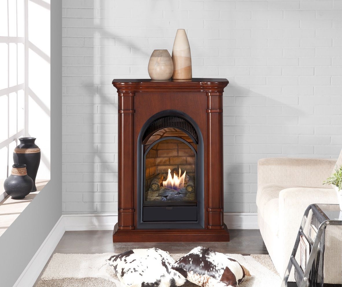 amazing 170043 gas corner fireplace | natural gas fireplace, fireplace, gas gas and wood fireplace combo picture