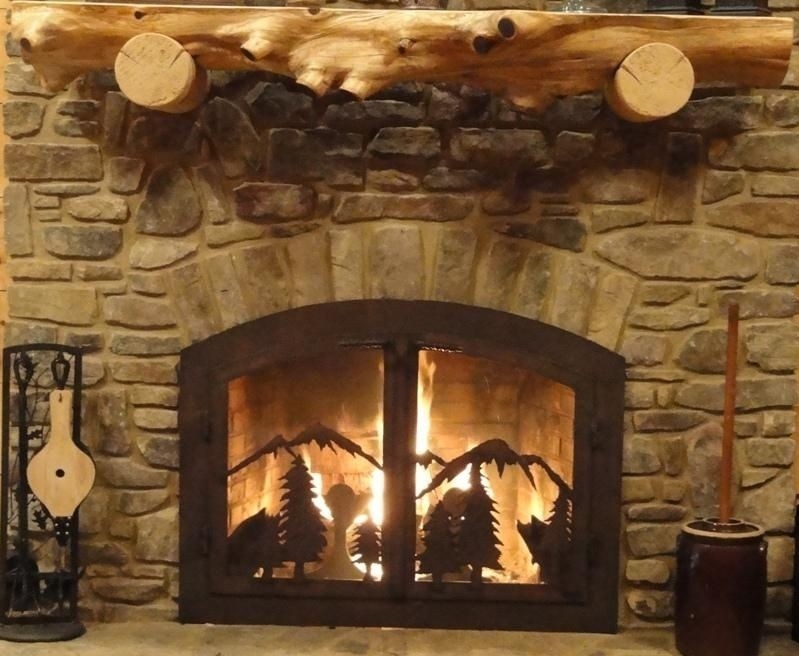 Splendid How To Make Fireplace Doors Brand