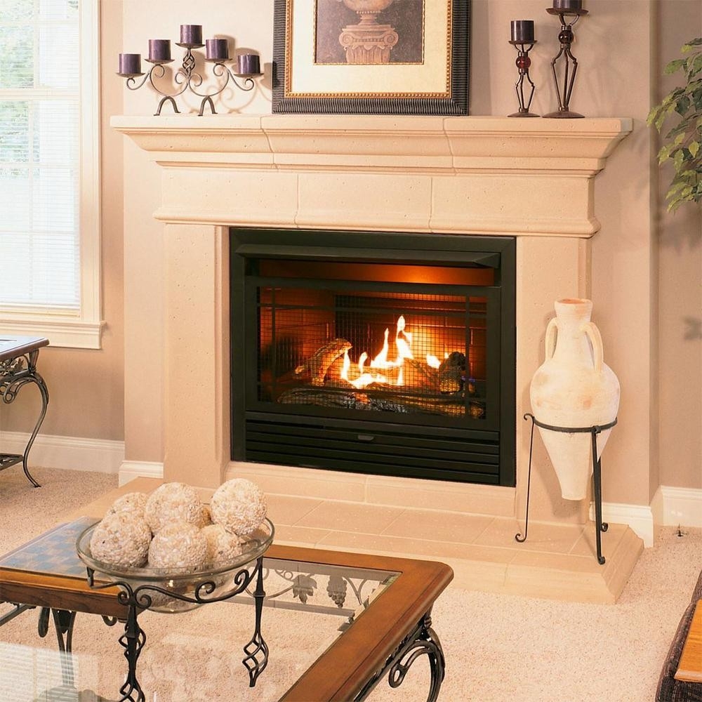 brilliant duluth forge 29 in 26,000 btu ventless dual fuel fireplace insert with ventless gas fireplace insert reviews photo