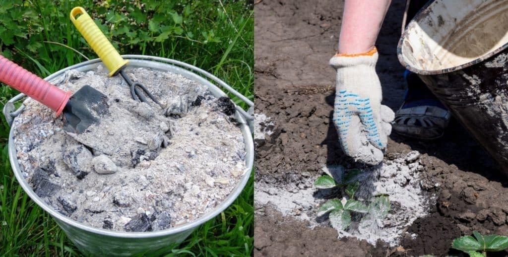 cheap 12 surprising uses for wood ash in the home &amp; garden uses for fireplace ashes image