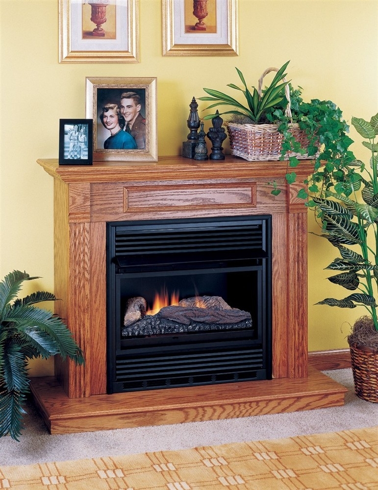 excellent fireplaceinsert, comfort flame vent free gas fireplace single compact small electric fireplace insert picture