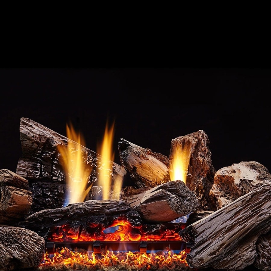 Image of How To Light A Gas Log Fireplace Best Price