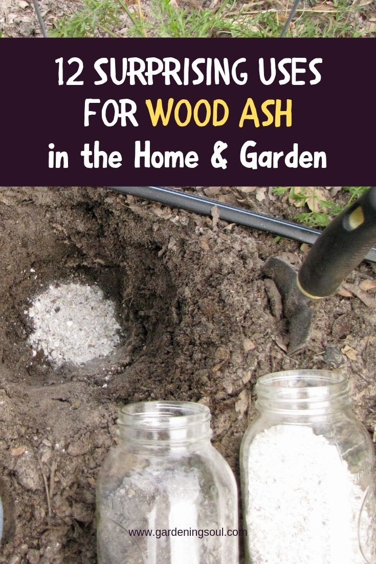 fantastic 12 surprising uses for wood ash gardening soul uses for fireplace ashes pics