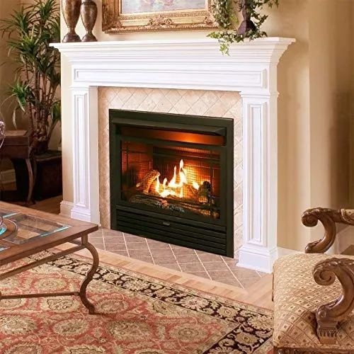 fantastic propane fireplace inserts reviews furniture wood best wood fireplace insert review photo