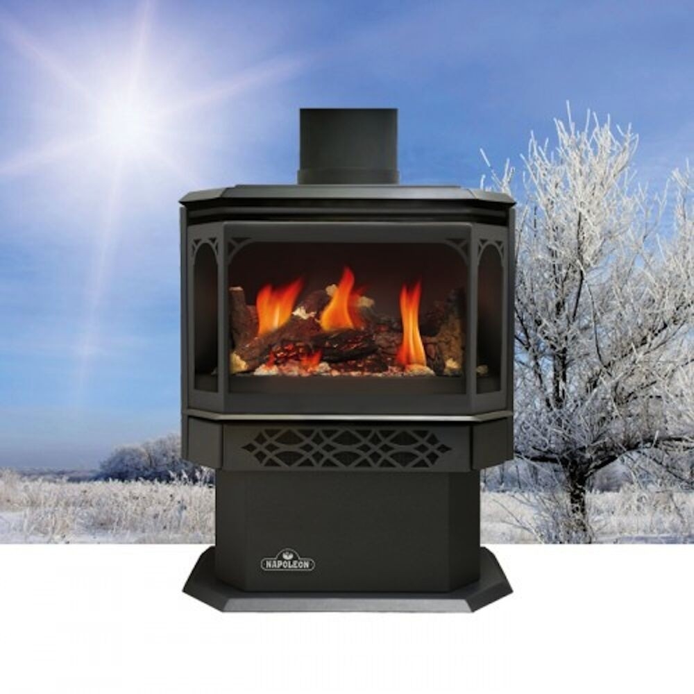 fascinating napoleon gas fireplace gds28 stove free standing efficient propane free standing ventless gas fireplace image