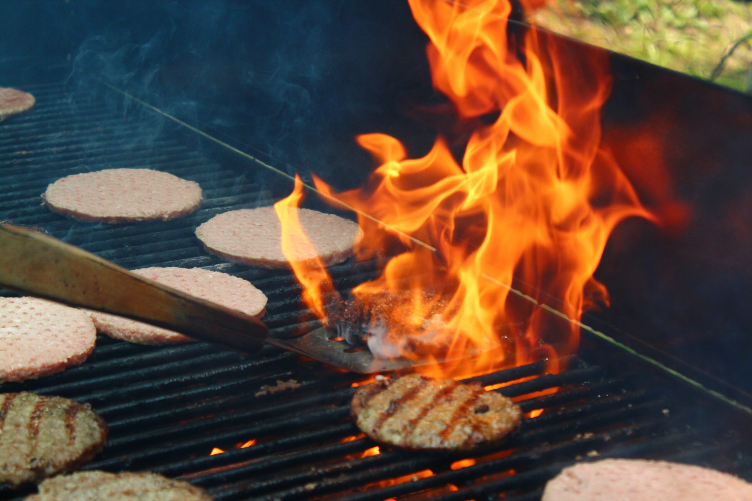 gorgeous free images : food, cooking, bbq, flame, campfire, meat, cuisine, heat how hot is a fire in a fireplace pics
