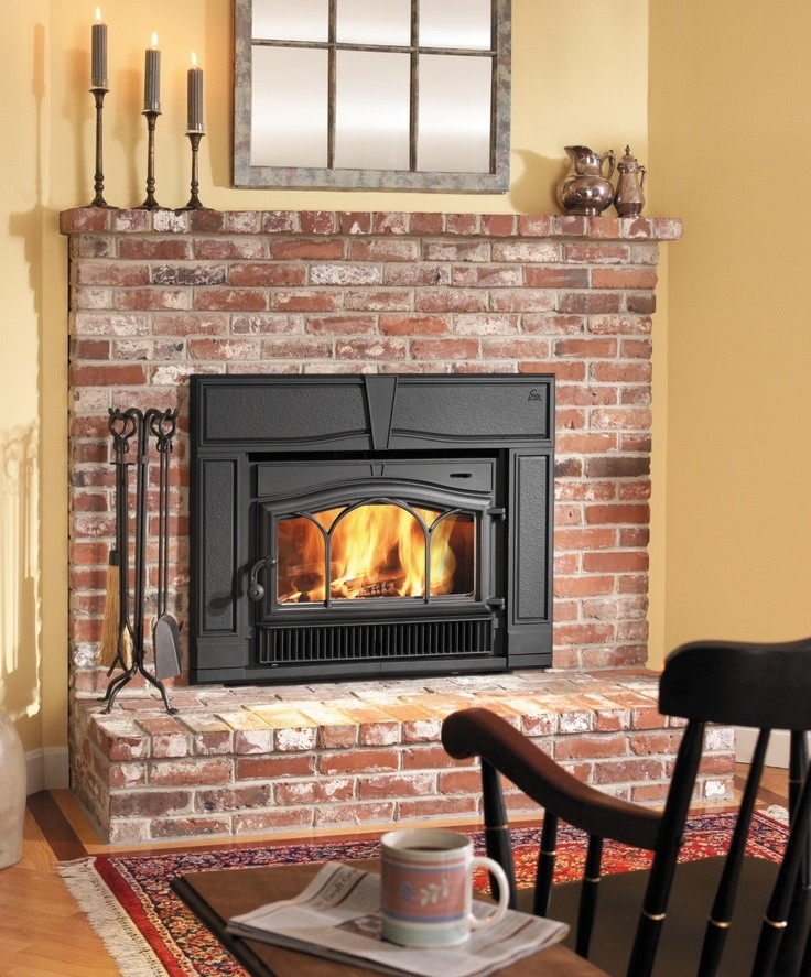Alluring Flush Wood Burning Fireplace Inserts Buying Guide