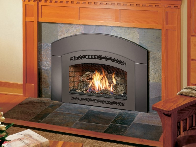 Best Gas Fireplace Insert With Blower Recommendations