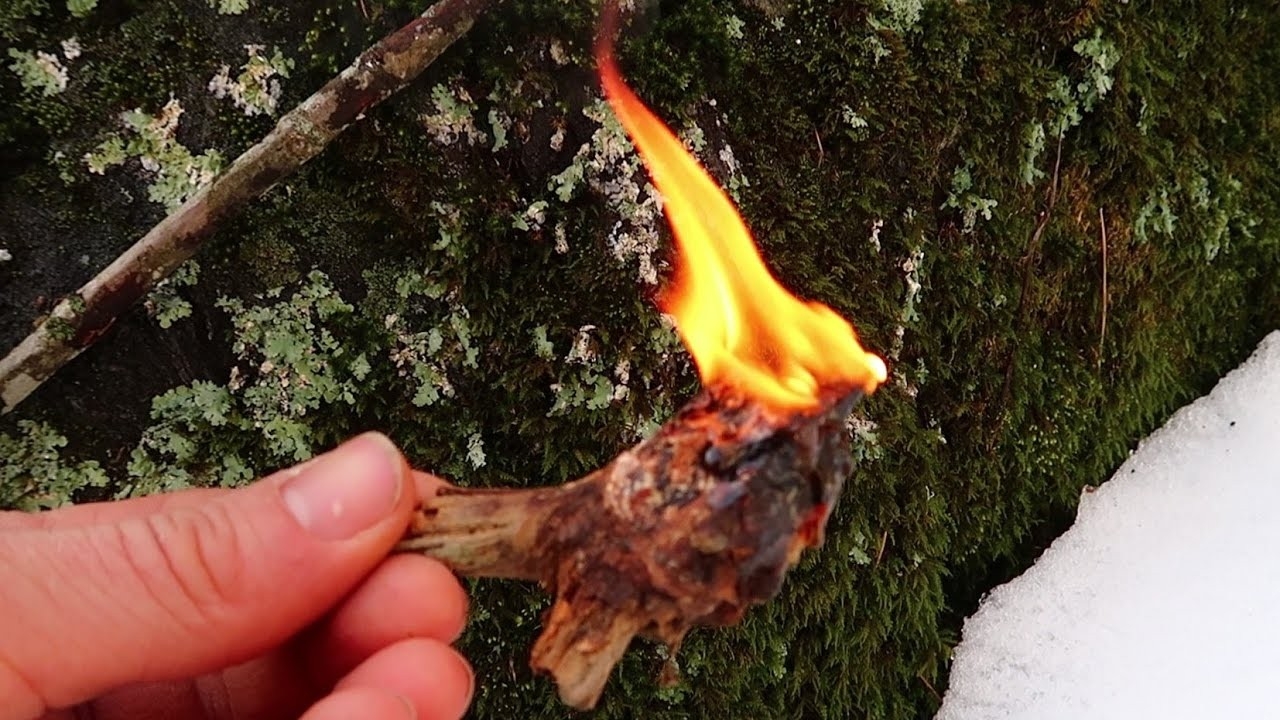 Good How To Start A Fire In The Fireplace Special Price