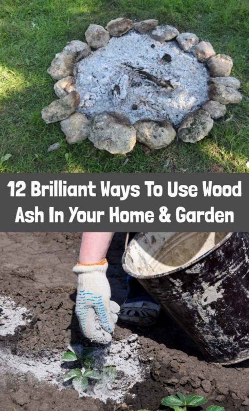 inspirational 12 brilliant uses for wood ash in the home &amp; garden uses for fireplace ashes image
