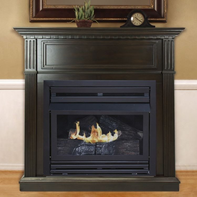 inspirational vent free fireplaces pleasant hearth fireplace doors vented gas fireplace vs ventless picture