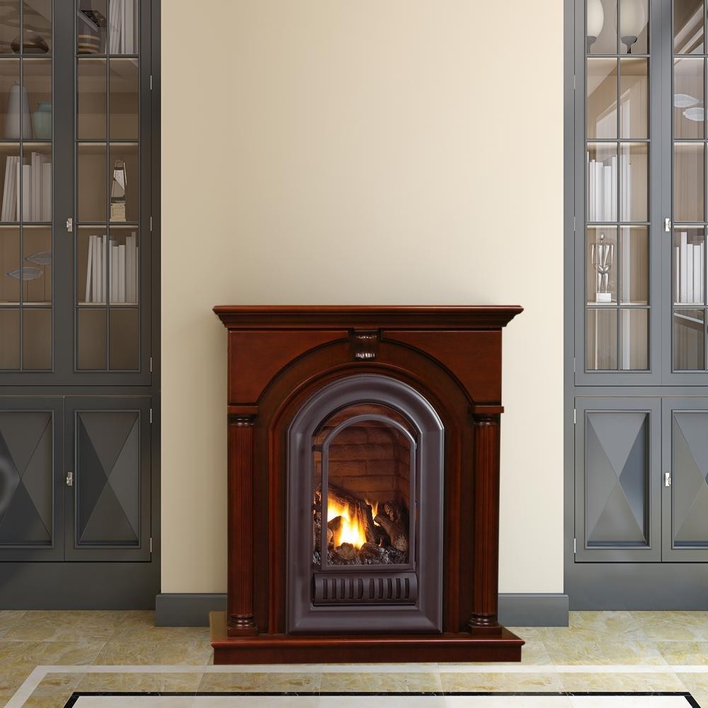 Alluring Home Depot Fireplace Doors Recommendations