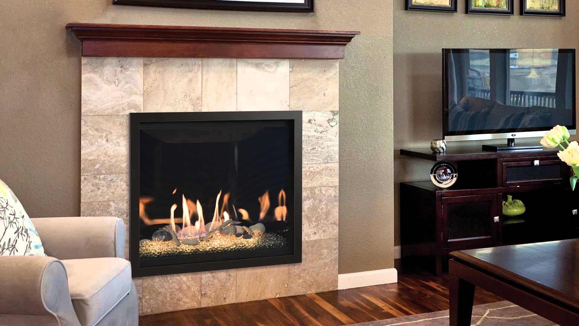 Image of Brushed Nickel Fireplace Doors High Quality