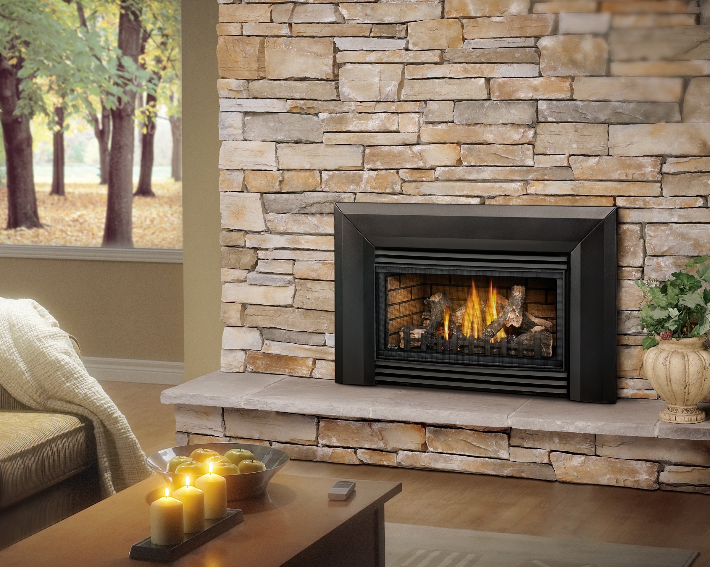 picture of napoleon roxbury™ 30 gas fireplace insert fireplace warehouse etc shop gas fireplace insert brands picture