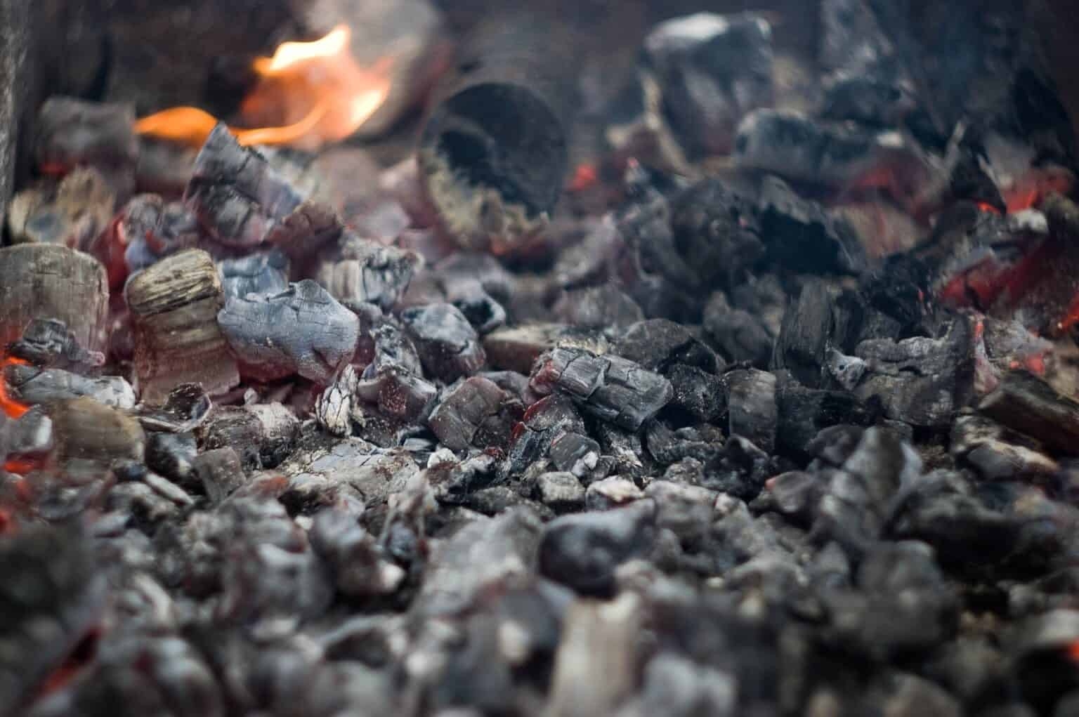 Best Fireplace Ashes In Compost Bin Brand