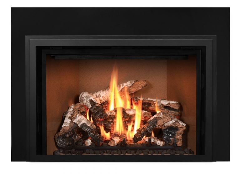 splendid mendota fv44i gas fireplace insert | bowden's fireside mendota fireplace insert reviews image