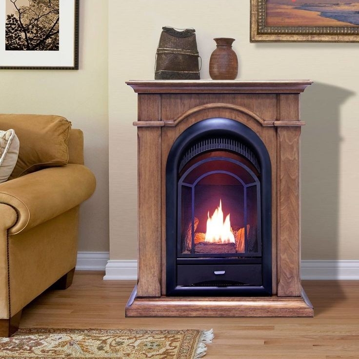 splendid procom fs100t ta ventless fireplace system 10k btu duel fuel thermostat walmart electric fireplaces clearance pics