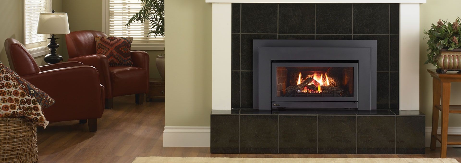 stunning regency energy™ e21 gas insert | toronto best fireplace | gas insert regency gas fireplace inserts image